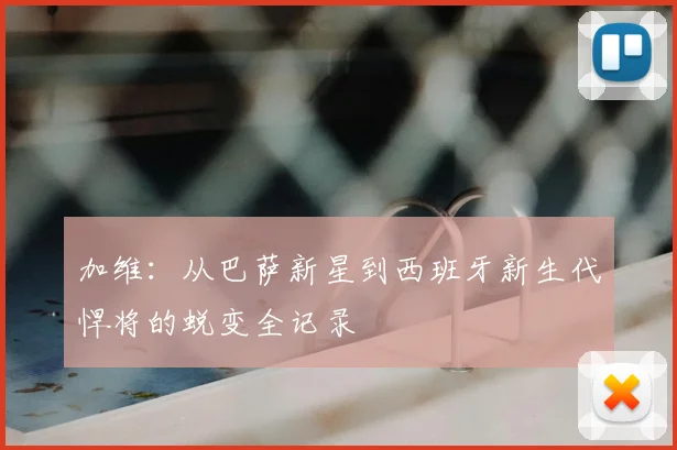 加维:从巴萨新星到西班牙新生代悍将的蜕变全记录